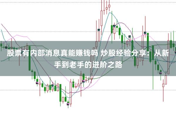 股票有内部消息真能赚钱吗 炒股经验分享：从新手到老手的进阶之路
