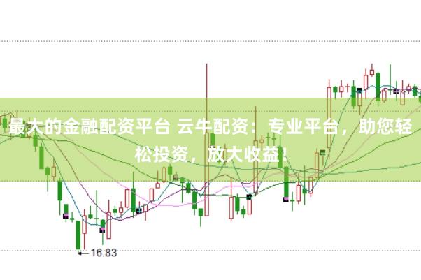 最大的金融配资平台 云牛配资：专业平台，助您轻松投资，放大收益！