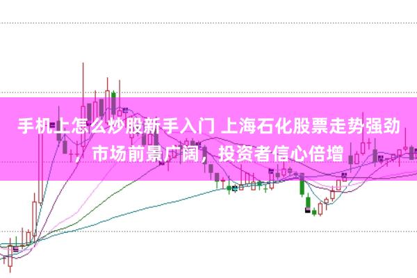 手机上怎么炒股新手入门 上海石化股票走势强劲,市场前景广阔,投资者信心倍增