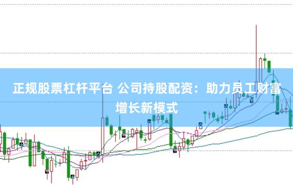 正规股票杠杆平台 公司持股配资：助力员工财富增长新模式