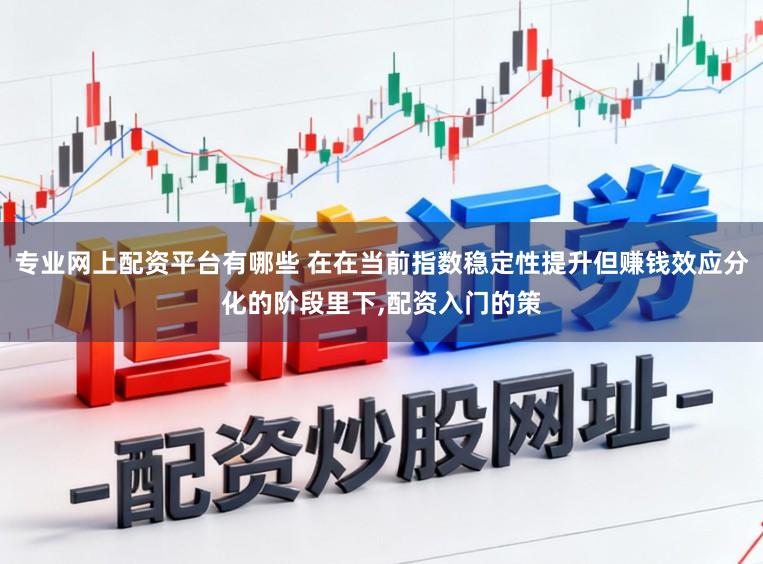 专业网上配资平台有哪些 在在当前指数稳定性提升但赚钱效应分化的阶段里下，配资入门的策