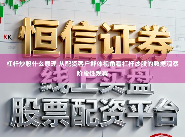 杠杆炒股什么原理 从配资客户群体视角看杠杆炒股的数据观察阶段性观察