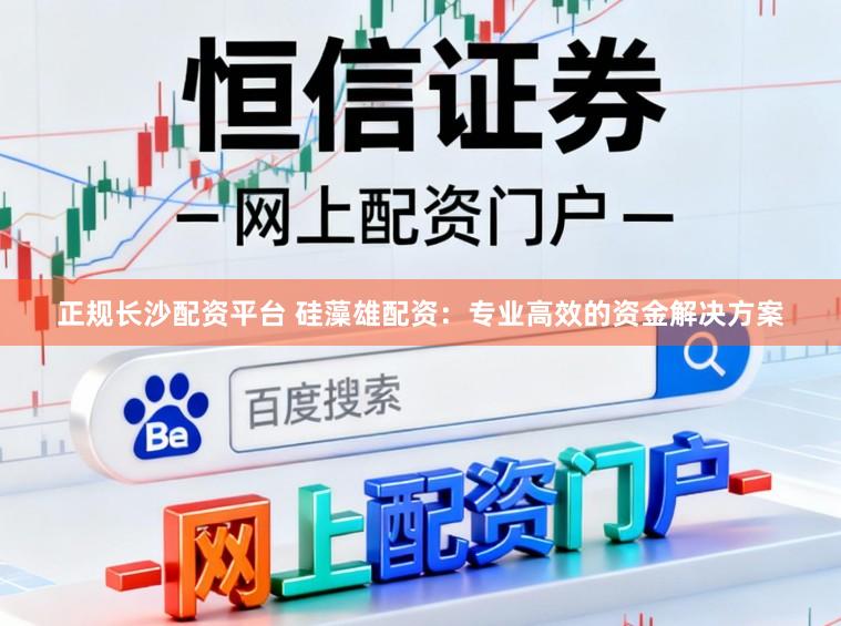 正规长沙配资平台 硅藻雄配资：专业高效的资金解决方案