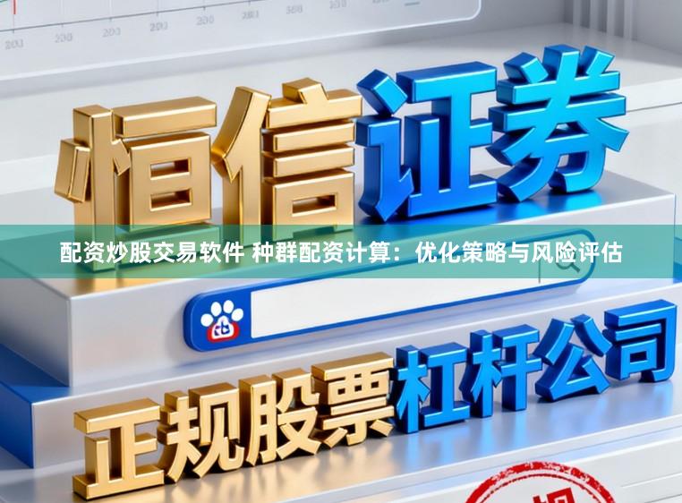 配资炒股交易软件 种群配资计算:优化策略与风险评估
